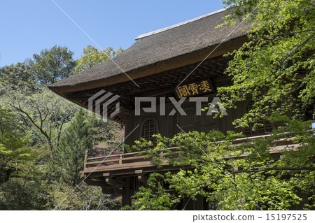 Hirin寺廟新鮮的綠色山門 15197525