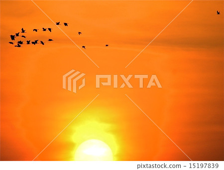 A group of horses rushed to a shrine A group of horses rushed to a shrine 15197839