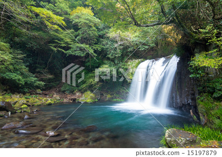 Kawazu Nanakitake Hatsunei瀑布 Kawazu Nanakitake Hatsunei瀑布 15197879