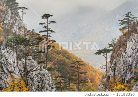 Tasnei Gorge, Romania 15198356