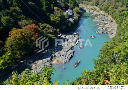 京都嵐山保祖河血統 京都嵐山保祖河血統 15198471