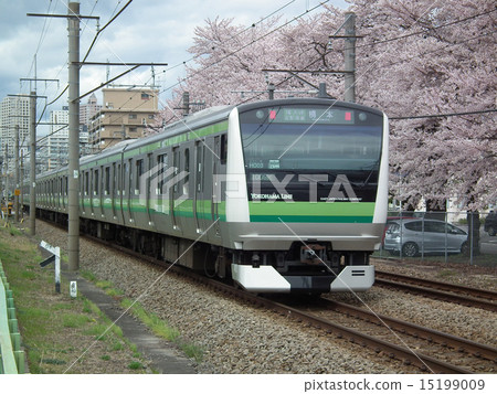 Yokohama line E233 line near Hashimoto station 15199009