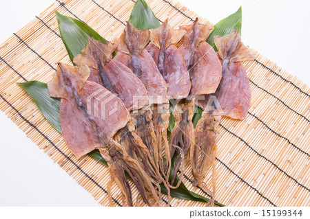 Squid Squid 15199344