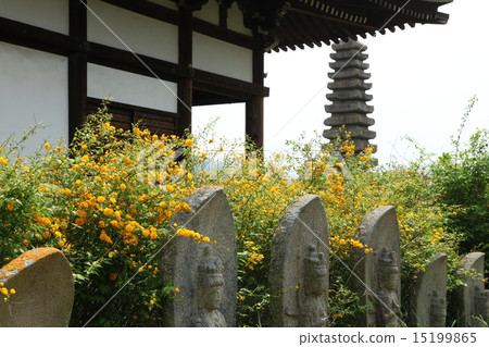 Yamabuki and Buddha of Buddhist priest 15199865