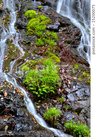 Shiranuki waterfall of Hinode town Shiranuki waterfall of Hinode town 15200075