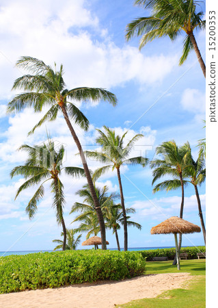 Resort in Tropical country 15200353