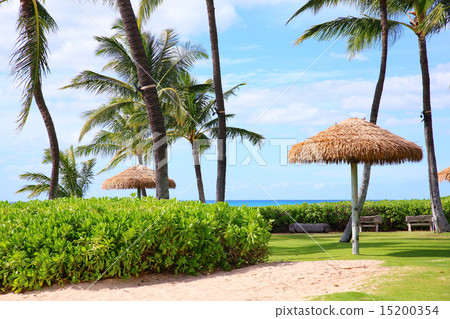 Resort in Tropical country 15200354