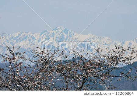 Goryuku dake in early spring 15200804