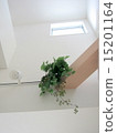 Geranium sagging in the living room at the colonnade 15201164