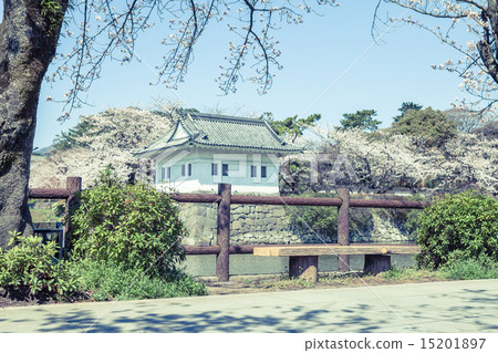 Background material Landscape with bench 15201897