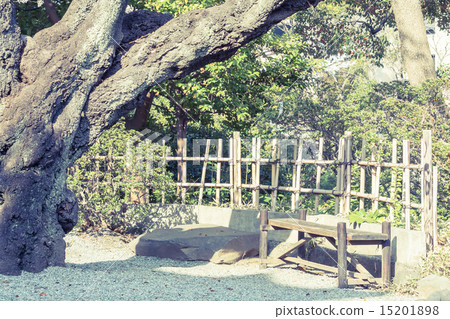 Background material Landscape with bench 15201898