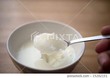 Milk pudding 15202151