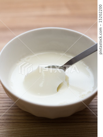 Milk pudding 15202200