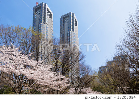 Cherry blossoms at Tokyo Metropolitan Government Building and Shinjuku Central Park 15203084