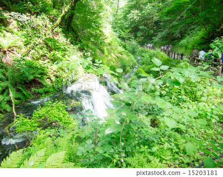 Shin Green River 15203181