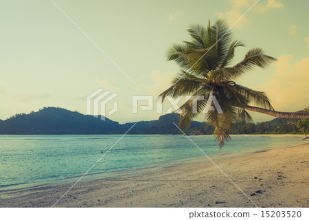 Tropical beach at Mahe island Seychelles Tropical beach at Mahe island Seychelles 15203520