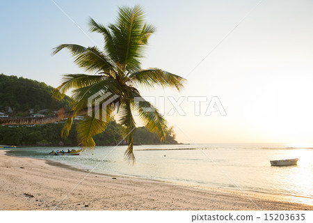 Tropical beach at Mahe island Seychelles Tropical beach at Mahe island Seychelles 15203635