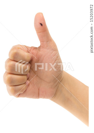 血豆 照片素材 圖片 圖庫