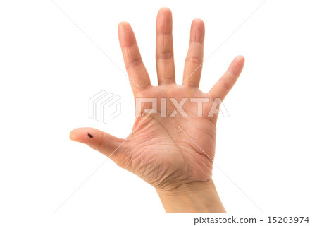 血豆 照片素材 圖片 圖庫