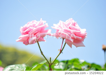 讓我們開心吧 15204022