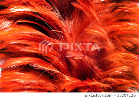 red fur from feather red fur from feather 15204120