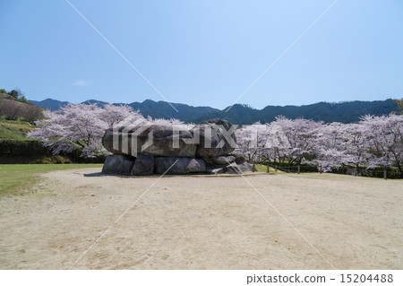 櫻花季節的石頭競技場墳墓 櫻花季節的石頭競技場墳墓 15204488