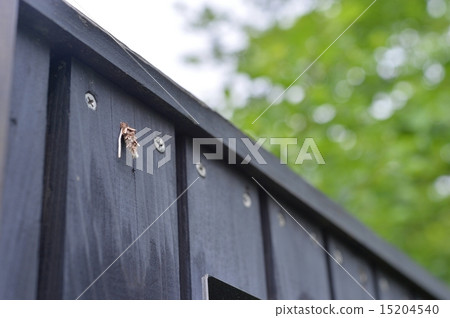 Minamushi，不能被噴射黑板隱藏 15204540