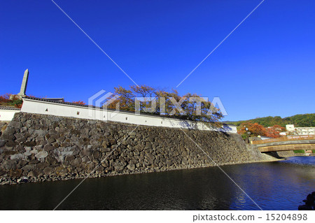 Kofu Castle Kofu Castle 15204898
