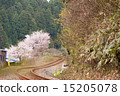 非電氣化路線繪製S曲線的春天風景 15205078