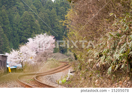 Spring landscape of non-electrified route drawing S curve 15205078