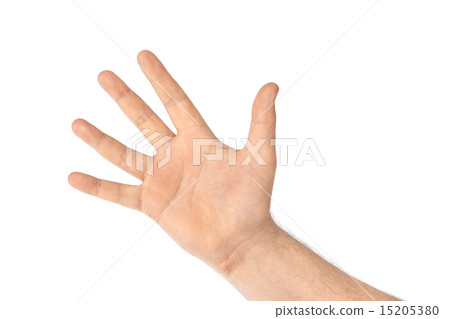 Counting hand - five 15205380