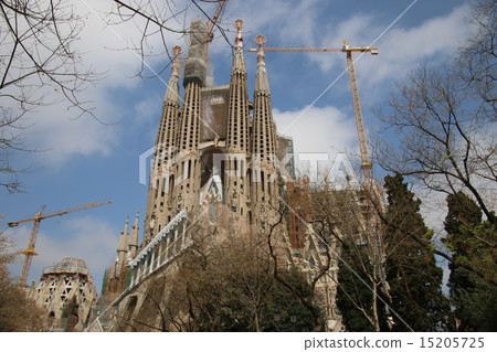 Sagrada Familia's Cathedral 15205725
