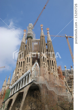 Sagrada Familia's Cathedral Sagrada Familia's Cathedral 15205726