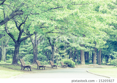Background material Landscape with bench Background material Landscape with bench 15205927