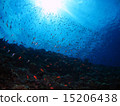 Okinawa National Park 15206438