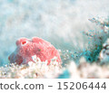 Frogfish 15206444
