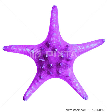 Beautiful starfish isolated on white background 15206892