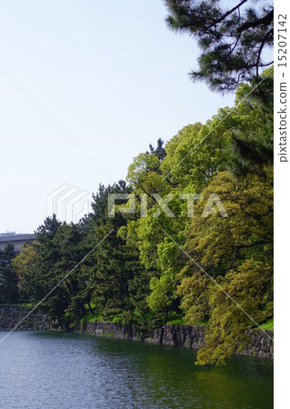 Tenjin moat of the Imperial Palace Tenjin moat of the Imperial Palace 15207142