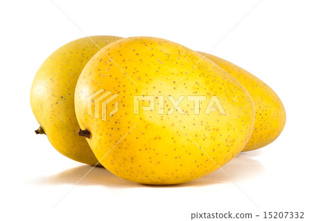 mango. sweet mango on background. 15207332