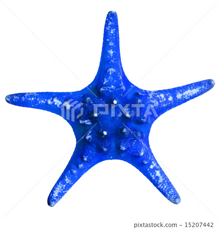 Beautiful starfish isolated on white background Beautiful starfish isolated on white background 15207442