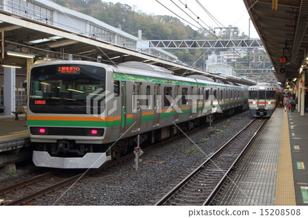 在上野站，上野東京線E231系列和東海道線313系列 15208508
