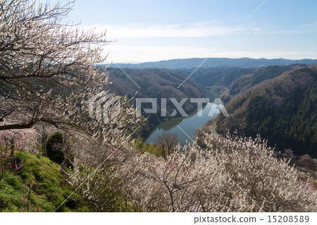 來自Tsukigase Umebayashi的Nazari河 15208589