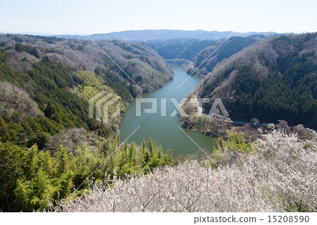 Nazari River from Tsukigase Umebayashi 15208590