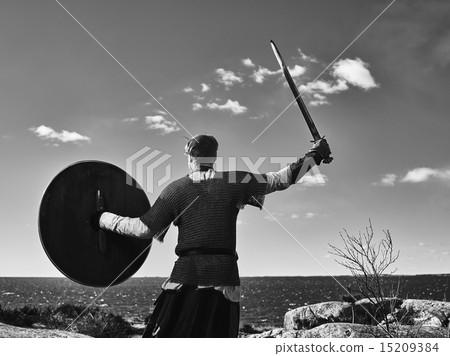 Viking warrior 15209384