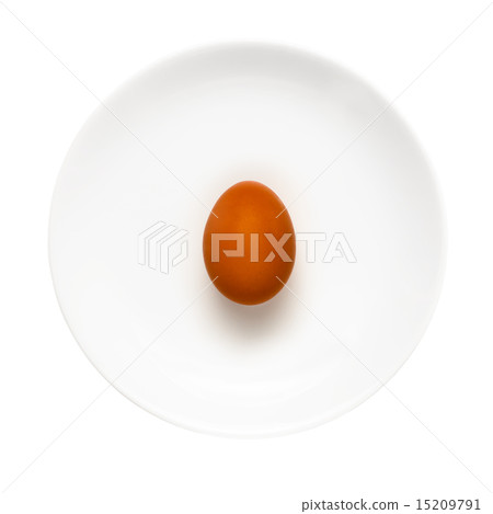 Brown egg on a white plate isolated on white background. Food co Brown egg on a white plate isolated on white background. Food co 15209791