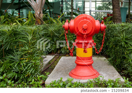 Red fire hydrant in front of green plants in a street 15209834