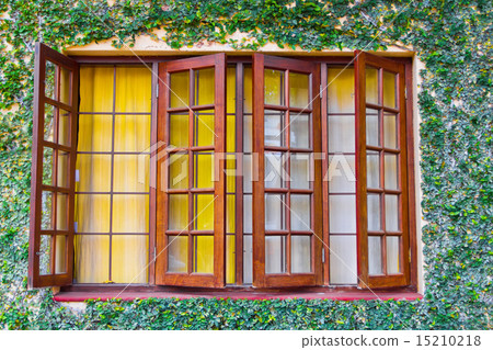 Wooden window with green ivy Wooden window with green ivy 15210218