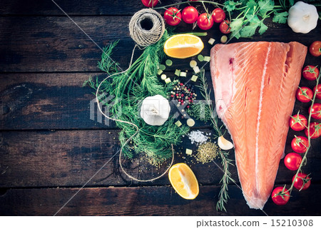 Salmon fish Salmon fish 15210308