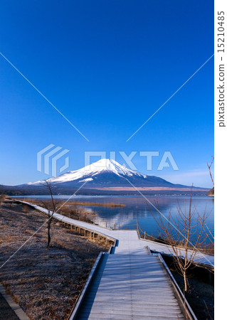 富士山（1月湖中山） 15210485