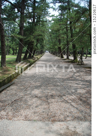 出雲大社(島根縣出雲市含羞草市)的入口 出雲大社(島根縣出雲市含羞草市)的入口 15210617
